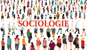 Ethno-sociologie