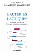 Bactrie lactique