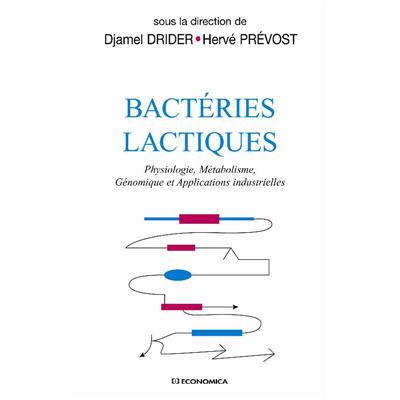 Bactérie lactique