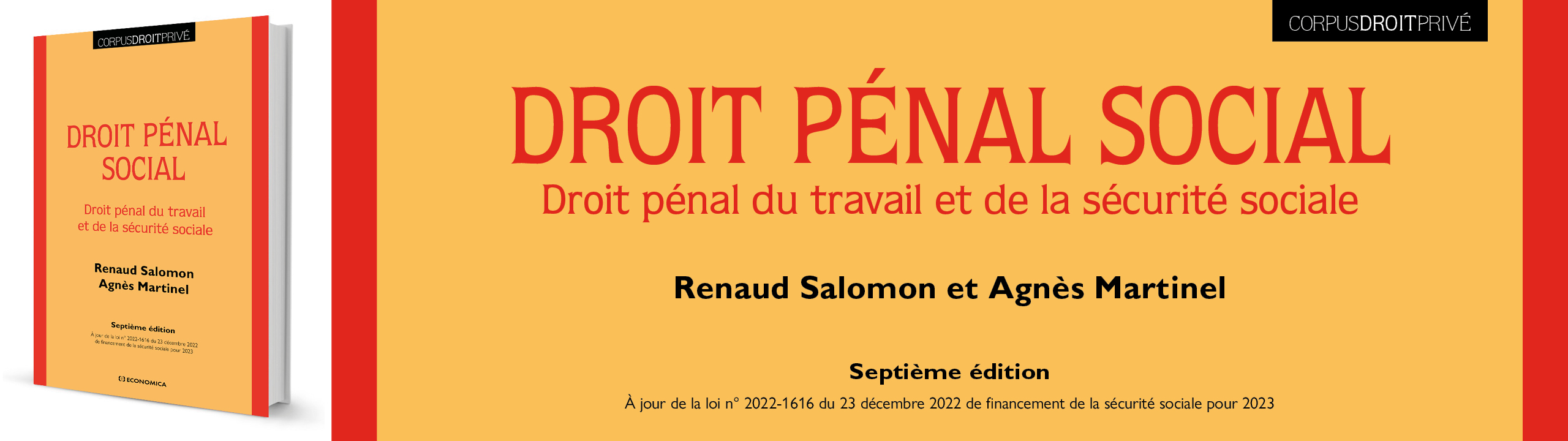 Droit pénal social, 7e édition - Renaud Salomon et Agnès Martinel - 9782717872637
