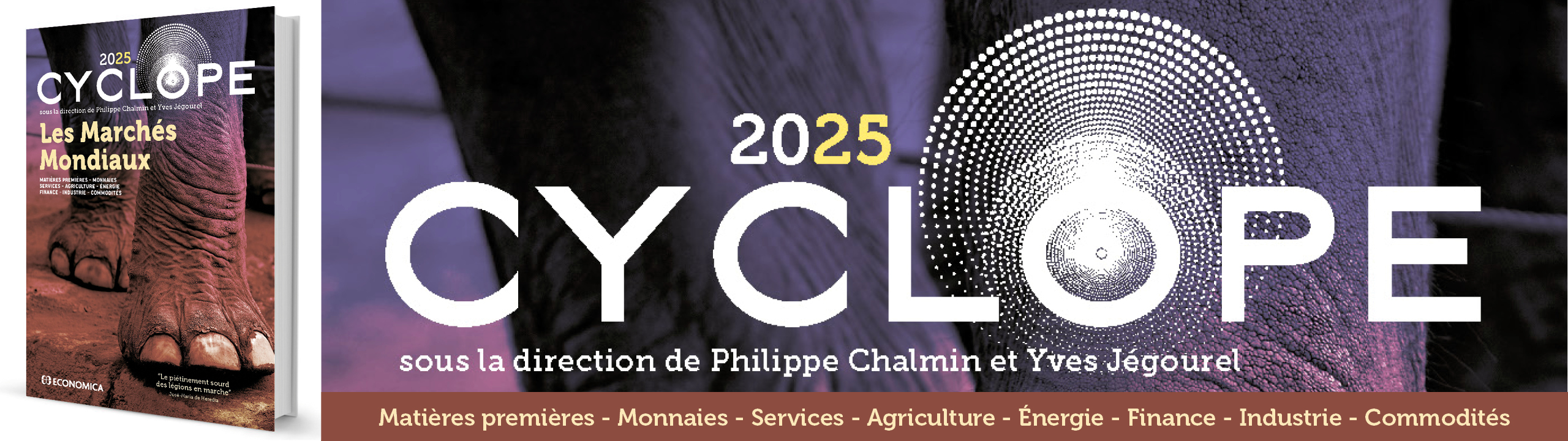 Chalmin P. et Jgourel Y.- Cyclope - Les marchs mondiaux 2025 - 9782717873375